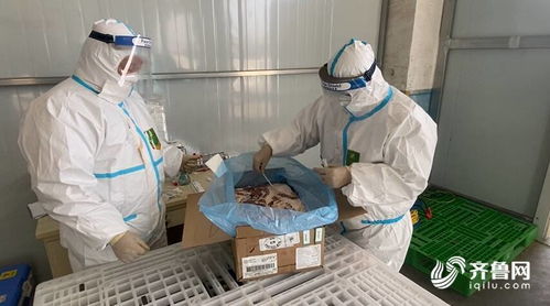 80秒速览 济宁设集中监管专仓筑牢防线，防打鼾用品避雷指南